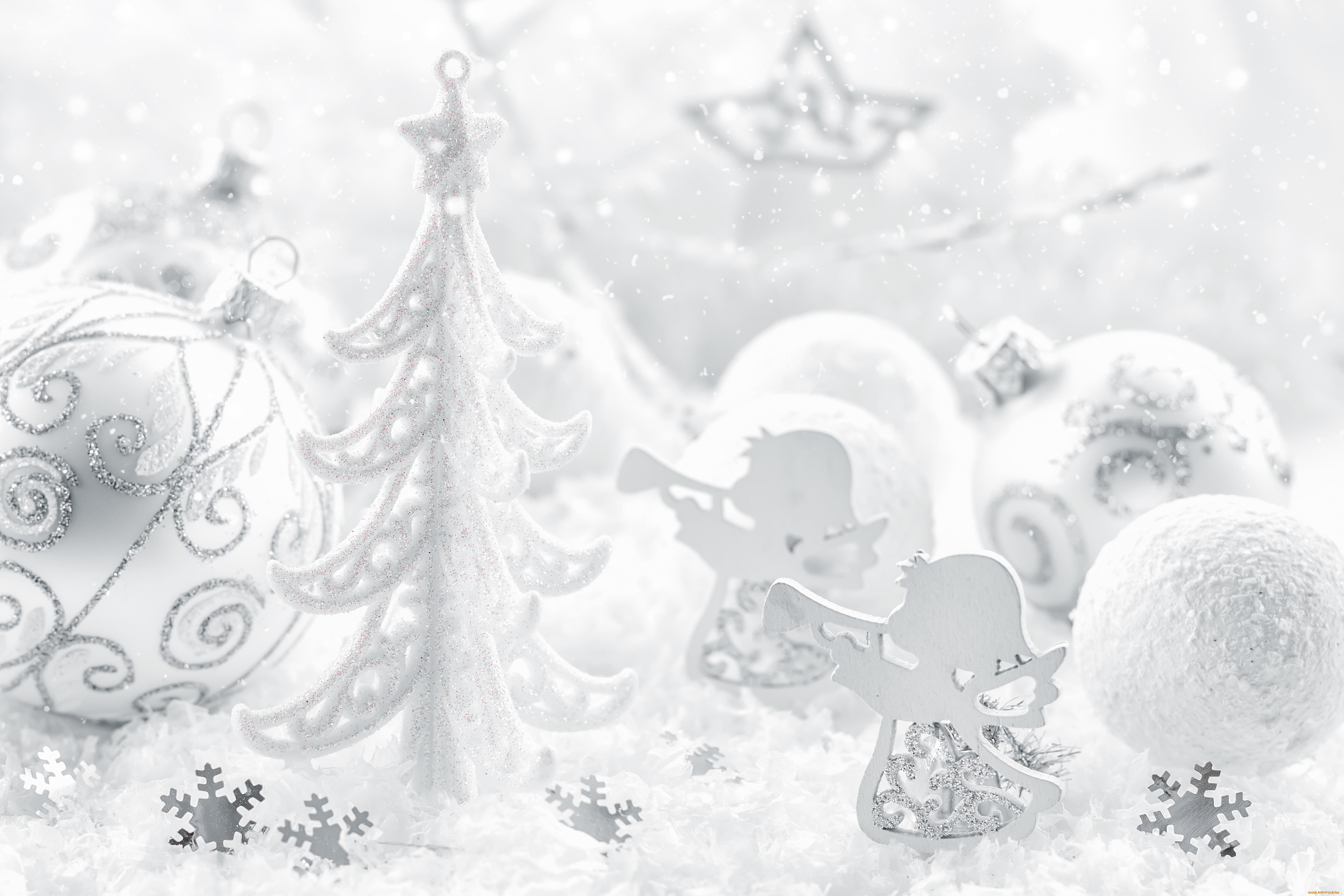 , , , , , , , christmas, , , 